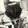 Miss B.'s profile picture