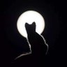 Profilbild von Jacinto