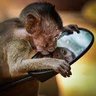 malpka_kiki's profile picture