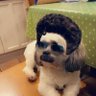 martin's profile picture
