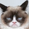 Daniel's profile picture