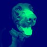 Andy's profile picture