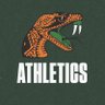 Florida A&M Athletics's profile picture