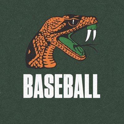 FAMU_Baseball's profile picture