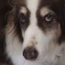 Lisa's profile picture
