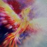 Phoenixwmn's profile picture