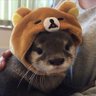 Abde's profile picture