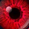 RedEyeGinger's profile picture