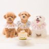3dog__fpblover profil fotoğrafı