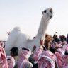 Profilbild von خيّال البويضا