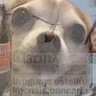 Profilbild von Agus CaSa