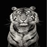 Prince ifeanyi's profile picture