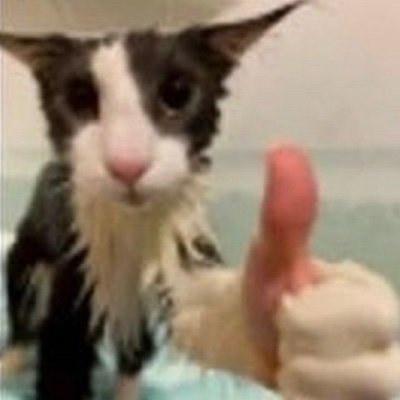 Pifaruu's profile picture