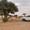 Фото профиля رحيّل مشعل