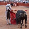 suspiros y olé profil fotoğrafı