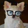 ぱーけん!◢⁴⁶'s profile picture