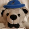 BearWifeLife profil fotoğrafı