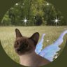 Ramen ✧'s profile picture