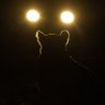 Ranga.NFT 🦉's profile picture
