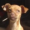 Leon's profile picture