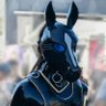 -Shadow-Dragon- profil fotoฤrafฤฑ