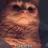 Profilbild von ForTheLols