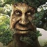 PluggingTree profil fotoğrafı