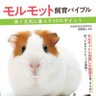 AIモルカーに乗る者tech's profile picture