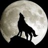 صالح's profile picture