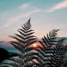 Palanisamy K.S.'s profile picture