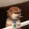精神病人刘主任's profile picture