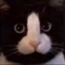 Profilbild von Anjay Kurinjay