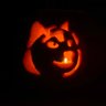 Charles.doge's profile picture