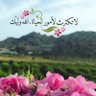 Фото профиля ام فهد