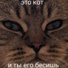 Profilbild von Бздник