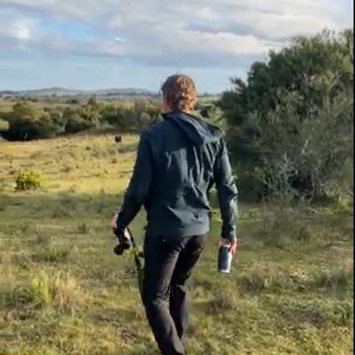 mattpheus's profile picture