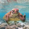 nori profil fotoğrafı