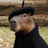 Fulano's profile picture