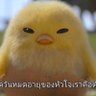 OmL.e.TT🦦's profile picture