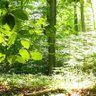 Фото профиля Yeşim Eren