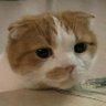 Profilbild von วันนี้