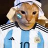 Manaos de Uva 💜 🇦🇷's profile picture