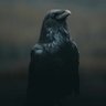 Boncuk profil fotoğrafı