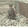 Robert E. Zipprich's profile picture