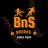 BnS Breaks 的头像