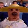 Profilbild von CheesyToes