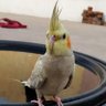 karthikeyan Pl's profile picture