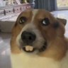 Ruim Min Son's profile picture
