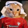 Profilbild von Imjavi 11