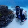Profilbild von Steven Wee